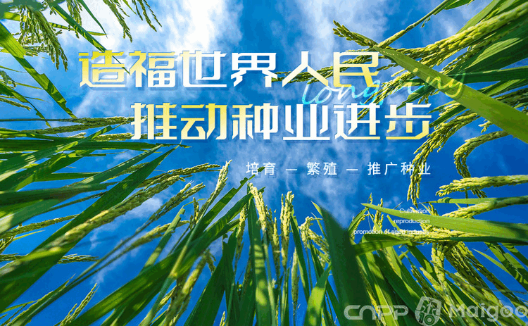 十大种子品牌推荐_种子品牌排行榜_台湾农产品品牌大全