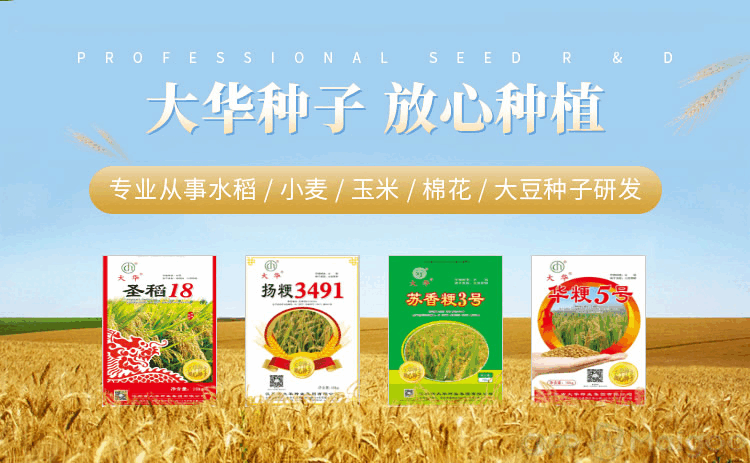 种子品牌排行榜_十大种子品牌推荐_台湾农产品品牌大全