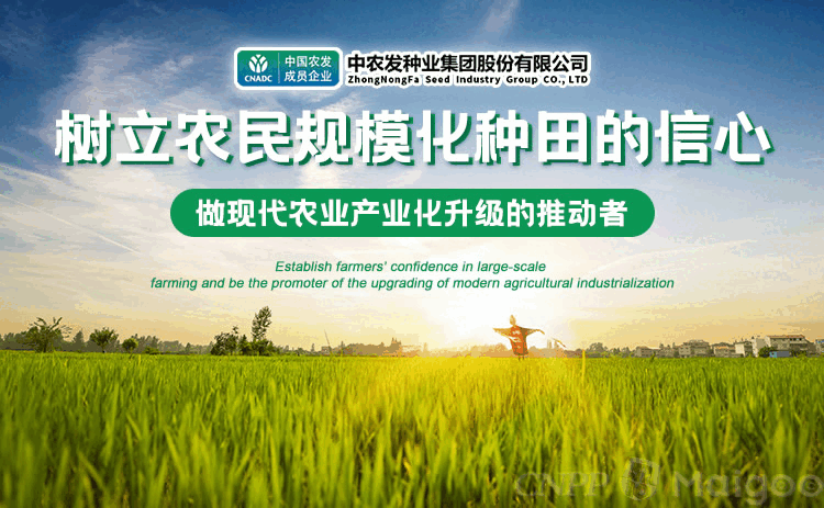十大种子品牌推荐_种子品牌排行榜_台湾农产品品牌大全