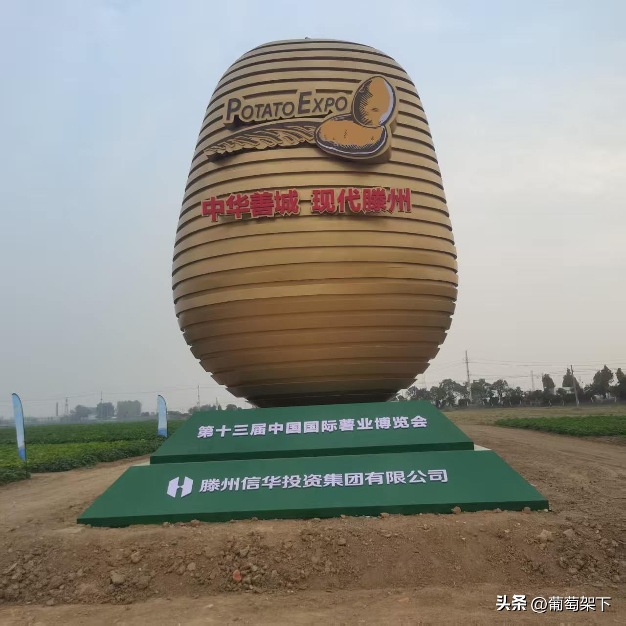 农产品区域公用品牌_中国马铃薯之乡品牌价值_滕州马铃薯公用品牌故事