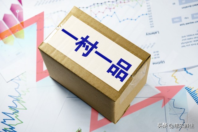 农产品可追溯体系_2026年中央一号文件一村一品_农村电商高质量发展工程