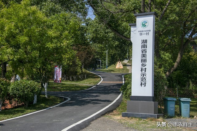 农村电商高质量发展工程_农产品可追溯体系_2026年中央一号文件一村一品