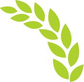 智慧农业解决方案_农产品可追溯体系_智能灌溉系统