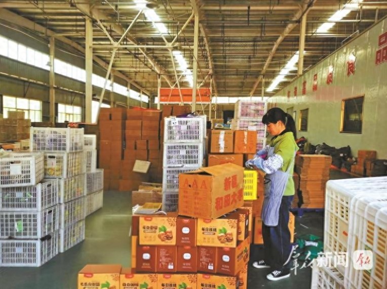 武功县农产品情况引关注，电商助力发展