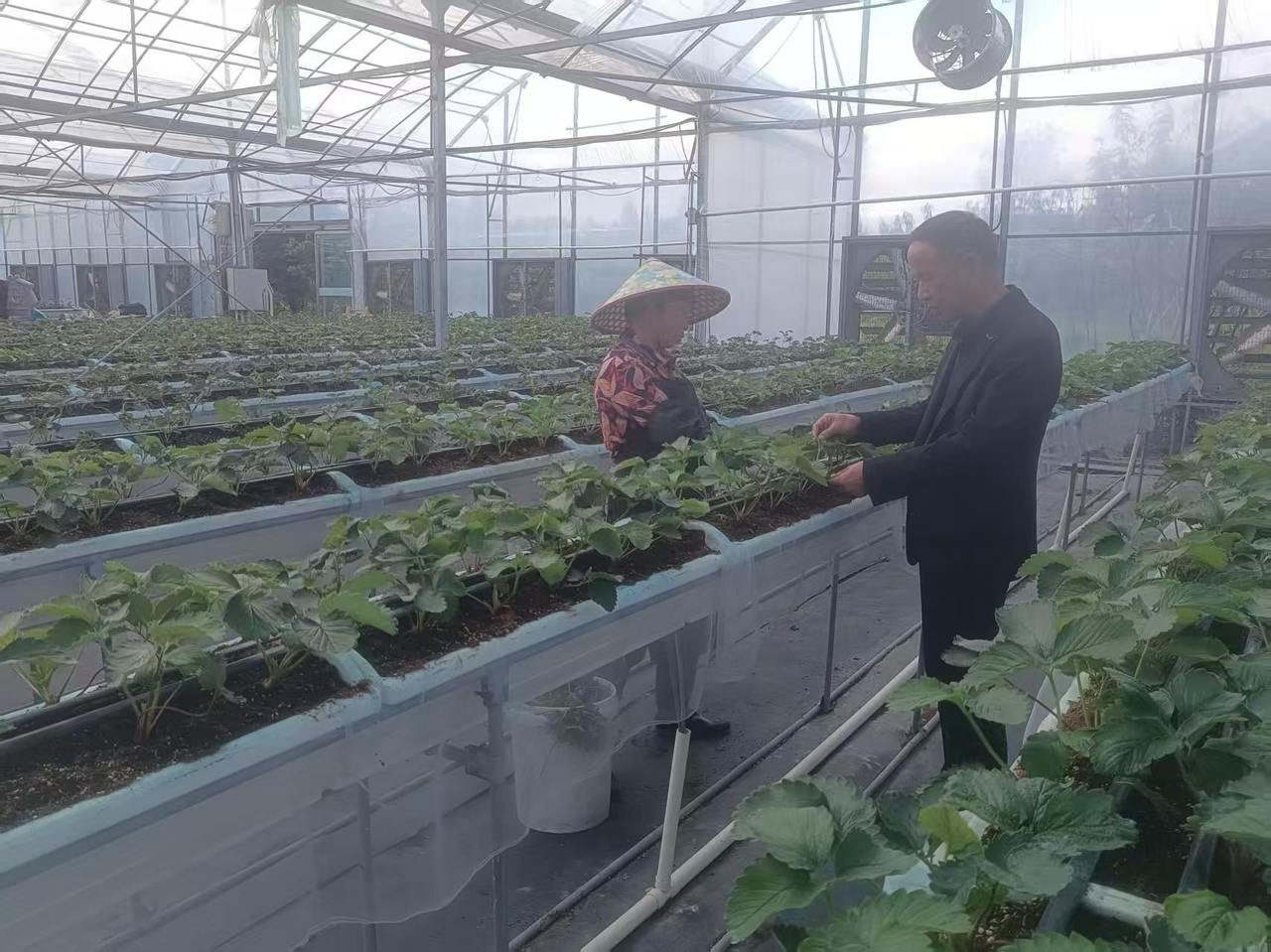 台州市农产品质量安全监管_农产品产业链_台州绿色优质农产品基地建设