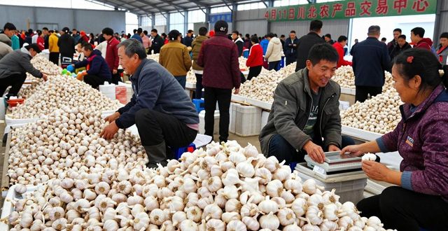 4月11日川北农产品交易中心，香蒜售卖热火朝天
