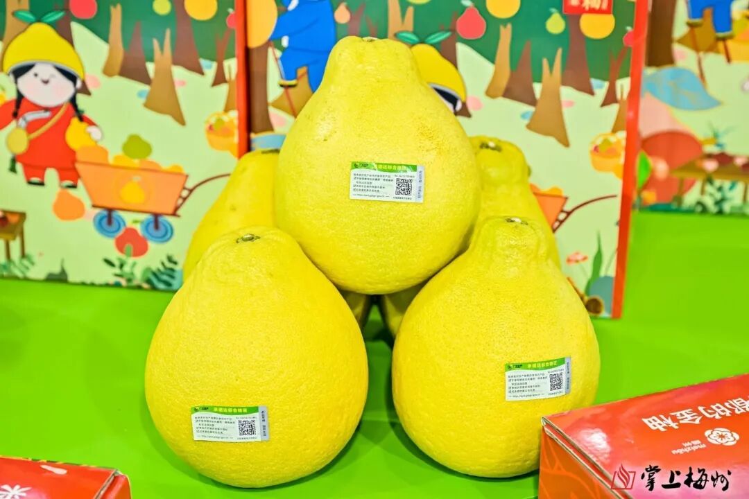 梅州市特色农产品年货节_梅城院士广场农产品展销_梅州农产品