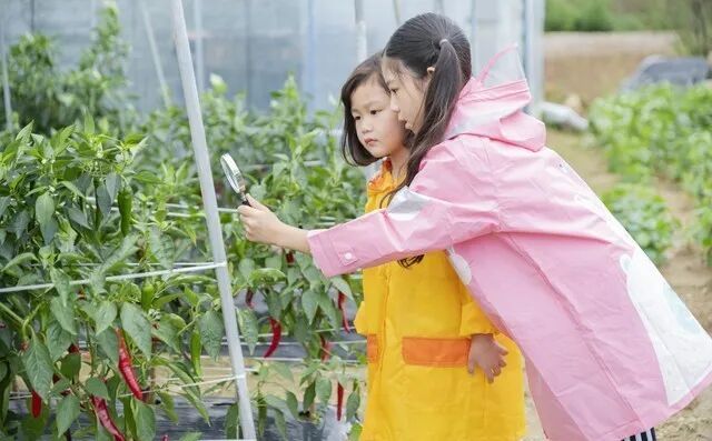 宁夏农产品滞销案例_2026年农业政策十大赚钱运营模式_农业社会化服务规模化经营数字化农业