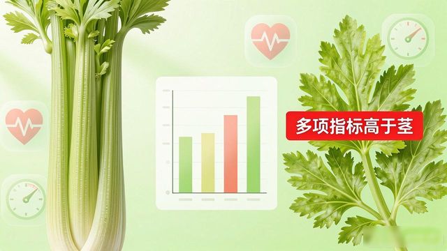 西吉芹菜种植优势_无公害农产品产地认证_芹菜叶的营养价值