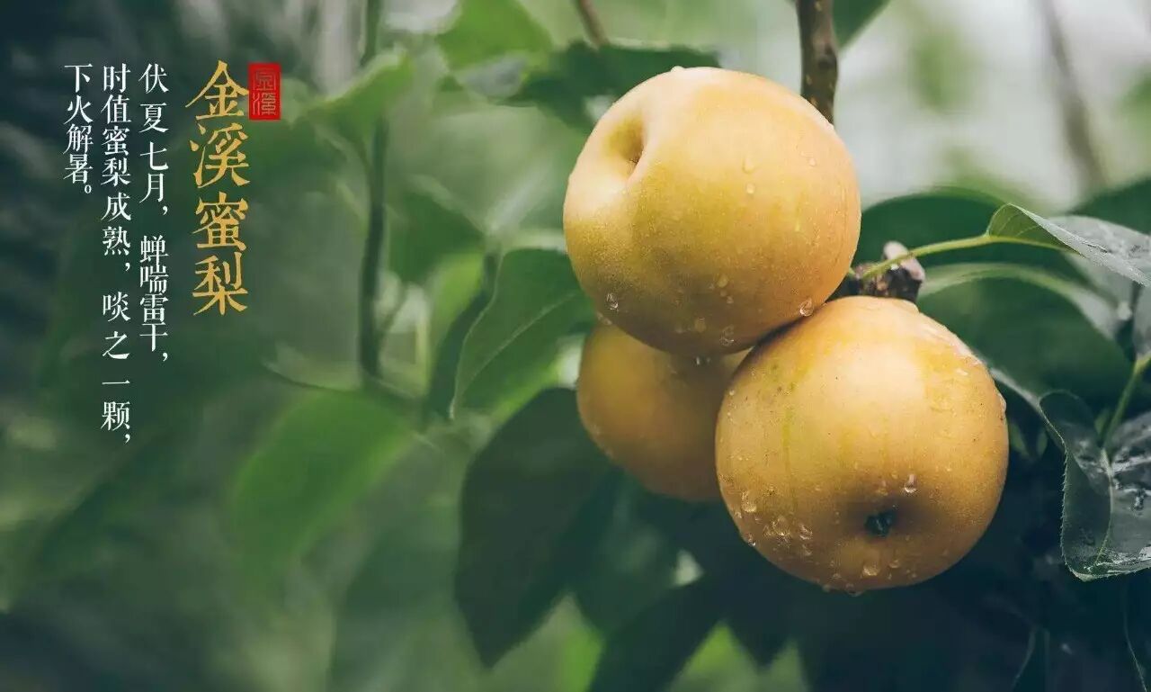 金溪县农产品信息发布平台_金溪资讯免费发布农副产品信息_农产品资讯网