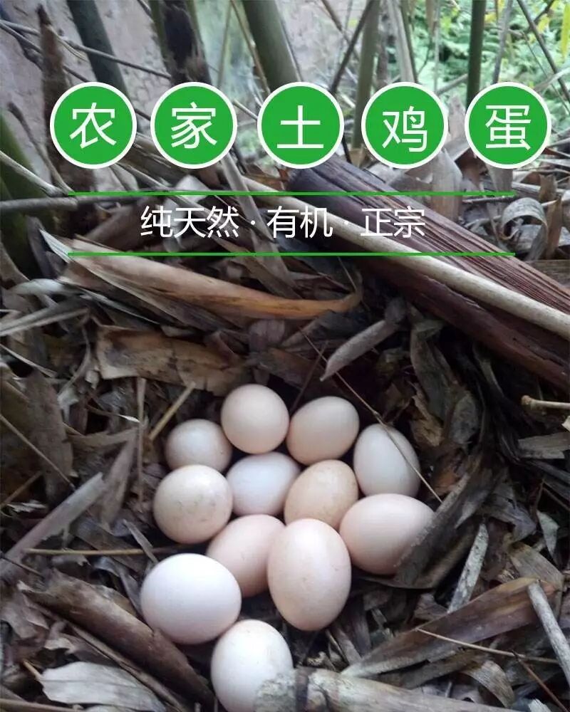 金溪资讯免费发布农副产品信息_农产品资讯网_金溪县农产品信息发布平台