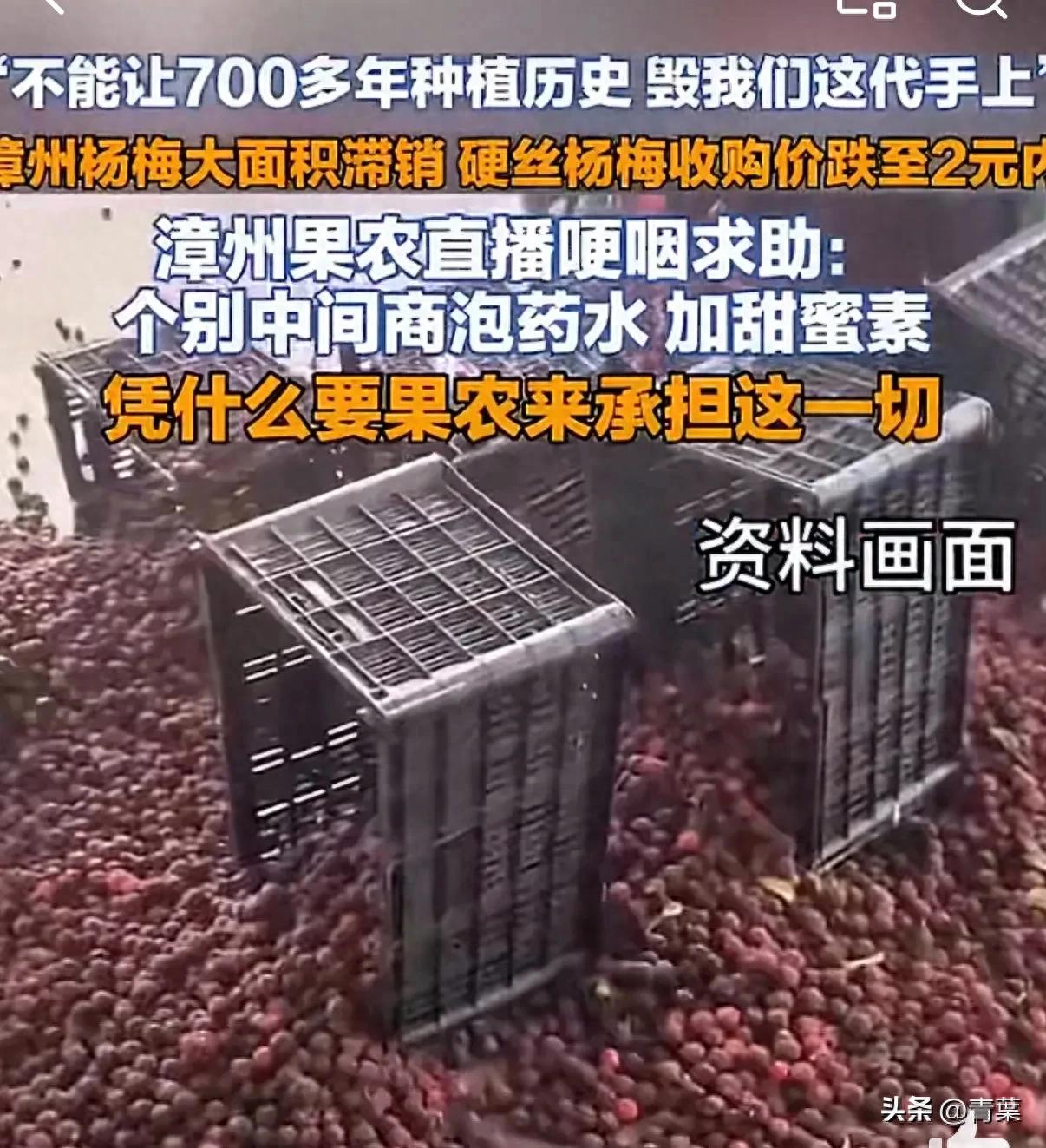 别让个别黑心商家毁了整个产区！农产品滞销背后是信任崩塌