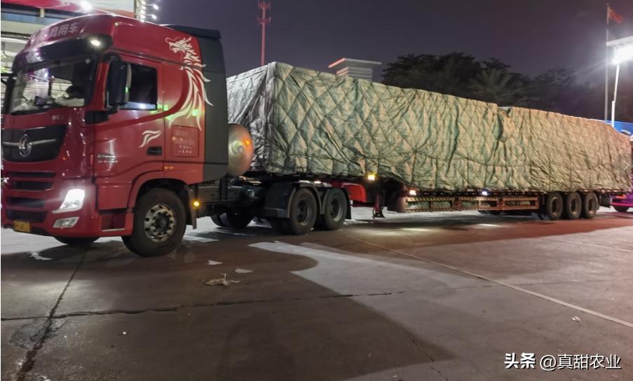 农产品滞销的原因_农业种植计划经济与市场经济差异_农产品销售市场风险