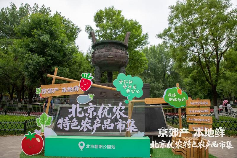 天津市农产品品牌建设_农产品超市化经营_天津市市集运营经验