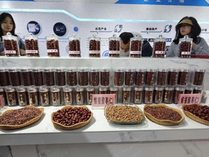 陕北清涧连翘酸枣能深加工吗？这些农产品潜力大