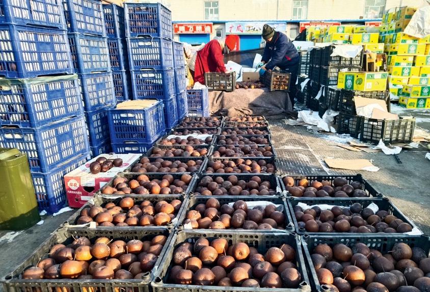 春节将至，哈尔滨哈达市场成市民农产品采购好去处