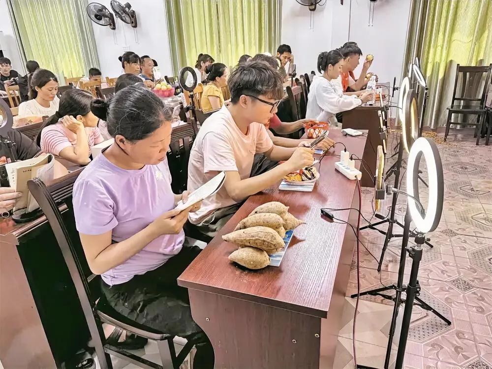 淘宝初级农产品被下架_河南省乡村电商补贴申报指南_2026年国家乡村电商扶持政策