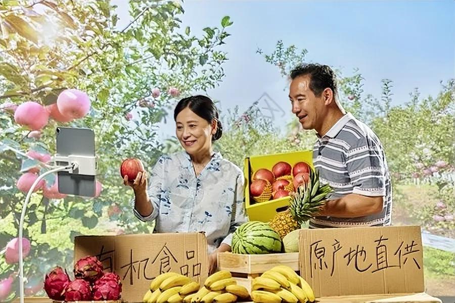 2026年国家乡村电商扶持政策_淘宝初级农产品被下架_河南省乡村电商补贴申报指南