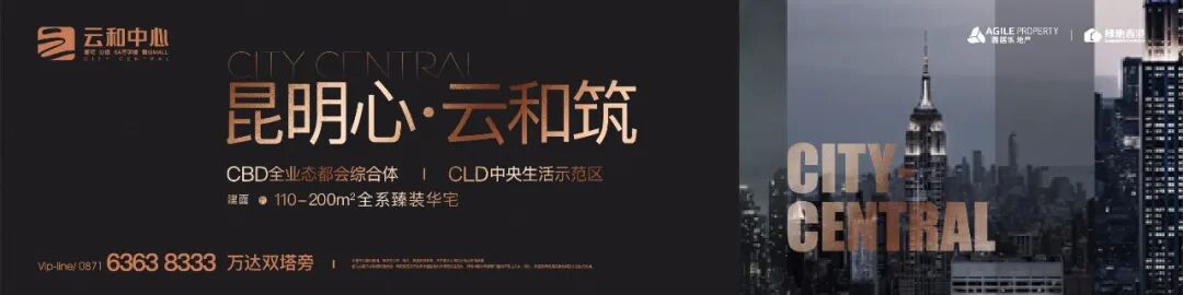 昆明农产品电子信息：2019年经济跃升，民生改善显著