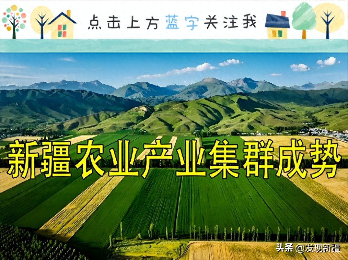 特色农产品开发：新疆如何打造全国优质供给基地