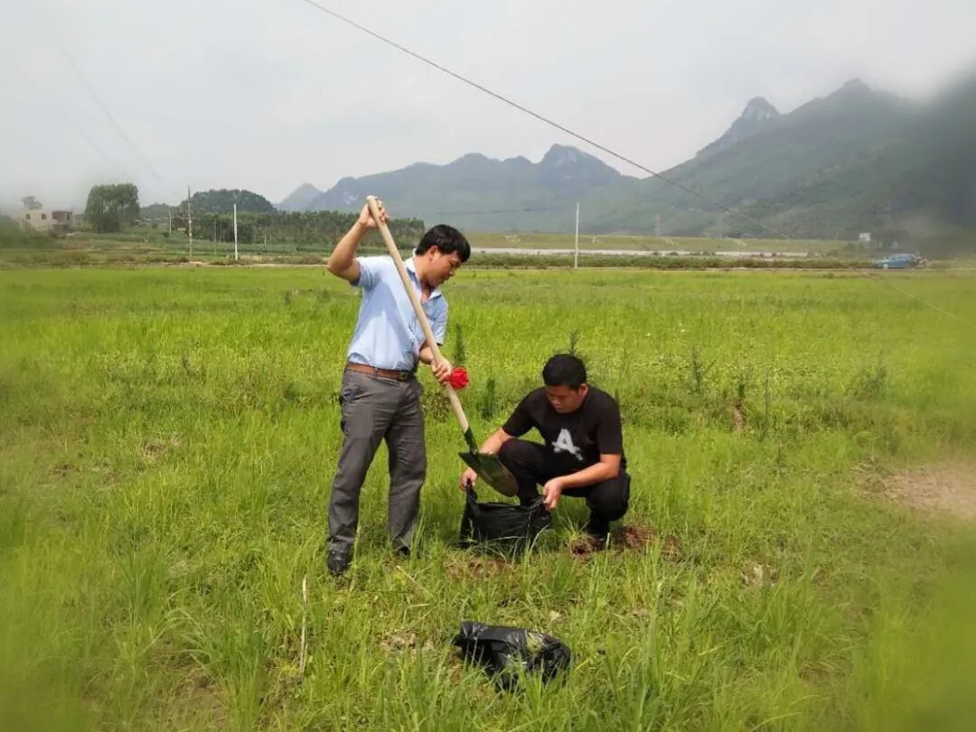 广西富硒农产品协会_富硒土壤点状分布_广西富硒之村寻找