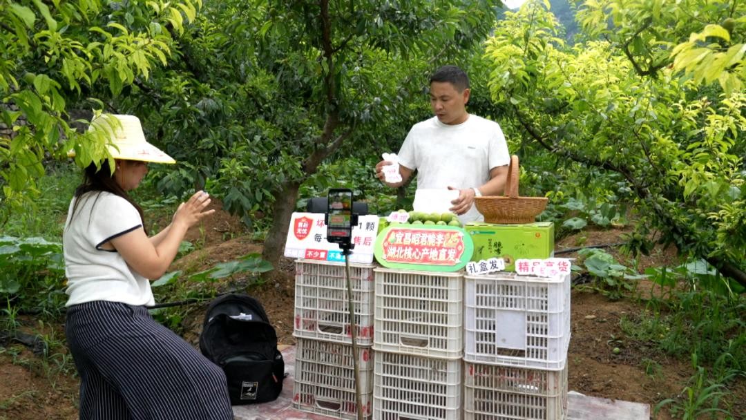 淘宝卖农产品新手必看：种得好不如卖得好，五招吃透利润
