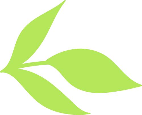 绿色蔬菜种植_高新区农产品平价直销店_绿色食品认证