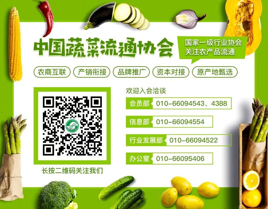 北京新发地农产品批发市场芒果交易_新发地农产品批发市场有没有卖_中国蔬菜流通协会攀枝花考察调研