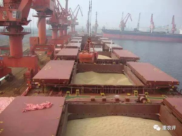 中国农产品贸易规模全球第二，新格局下如何转型？