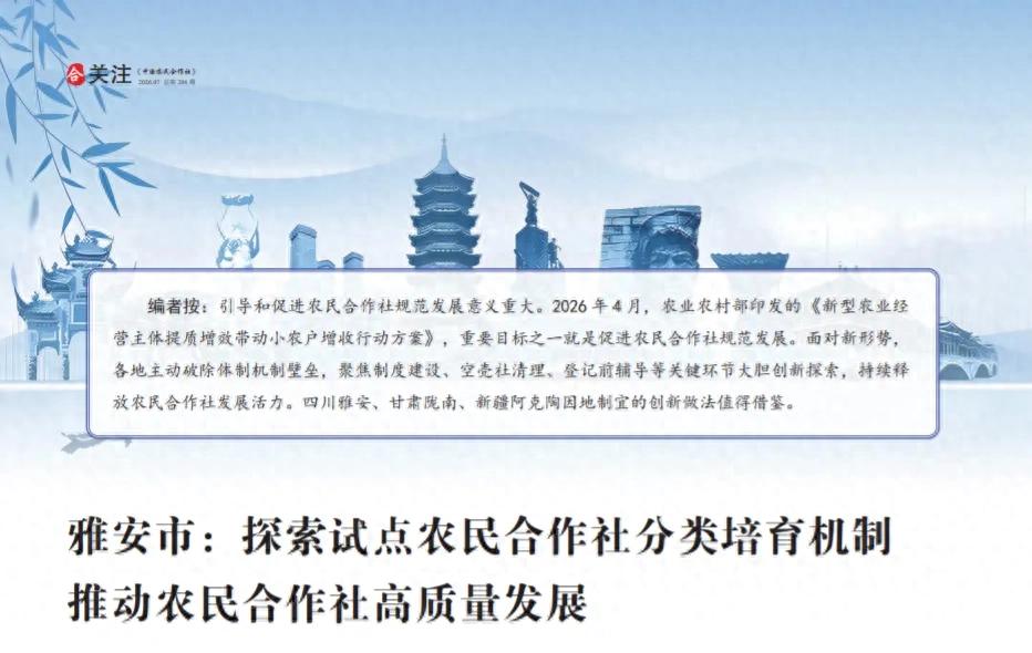 山区合作社农产品物流如何降本增效？2026新政来了
