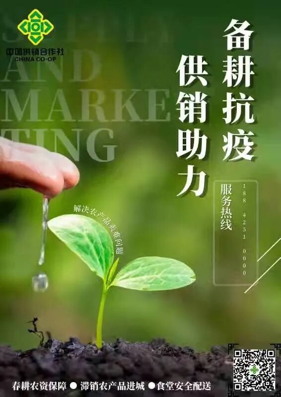 滞销农产品哪里卖？锦州供销社上门收菜，助农解愁