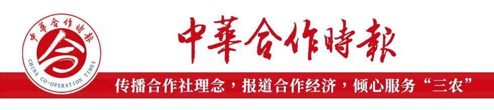 滞销农产品哪里买？福建供销社渠道，直供新鲜好货