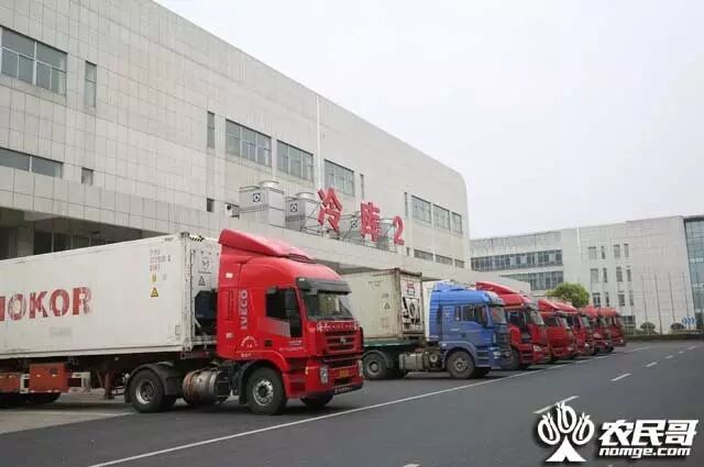三亚芒果推介首站，探秘上海西郊国际农产品交易中心规模